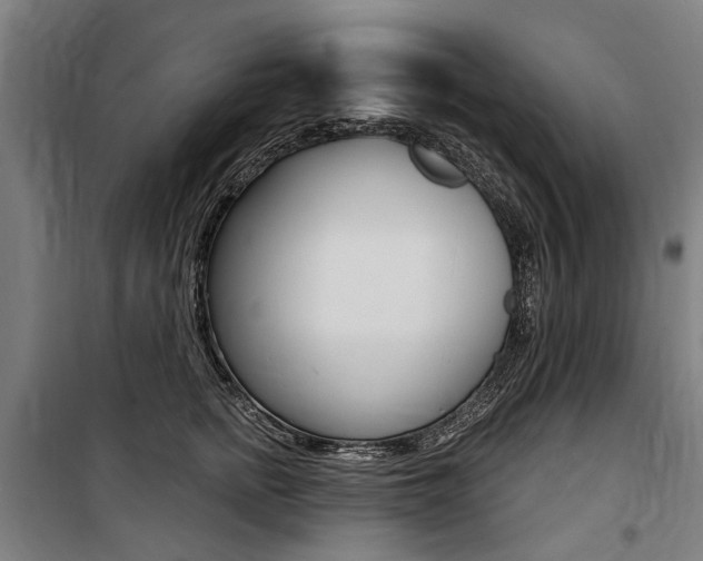 X0000100870758200806200902