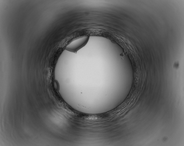 X0000100870759200806200903