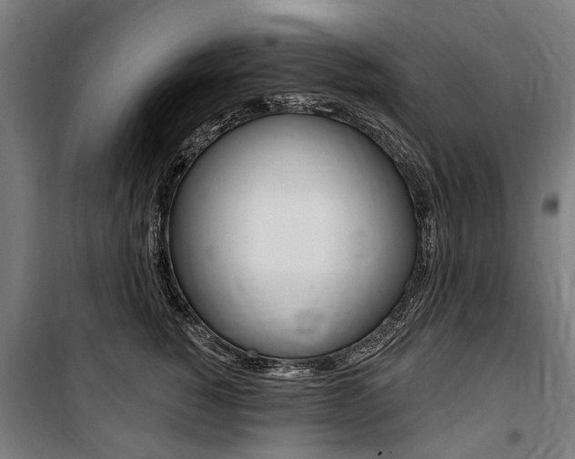 X0000100870760200806200903