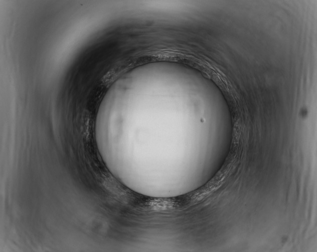 X0000100870762200806200903