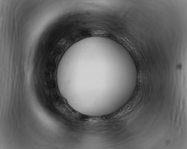 X0000100870763200806200903