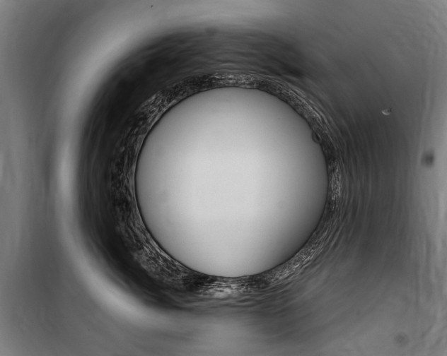 X0000100870764200806200903