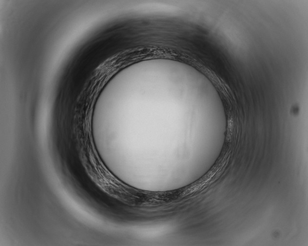 X0000100870765200806200903