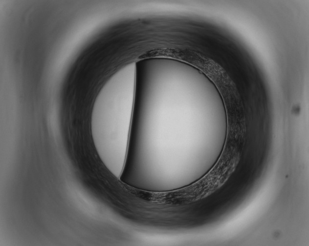 X0000100870766200806200903