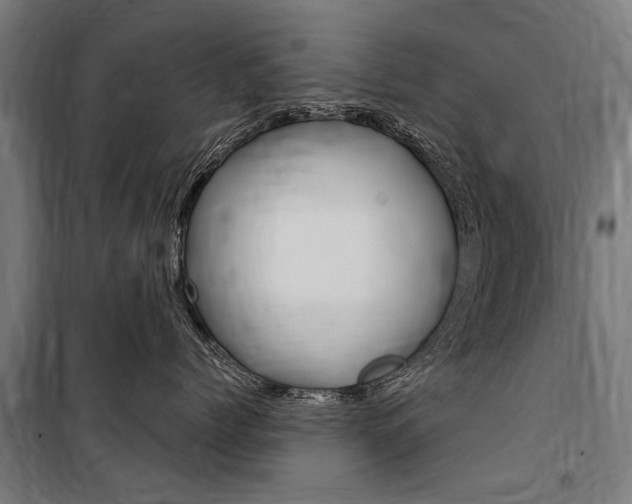 X0000100870768200806200903