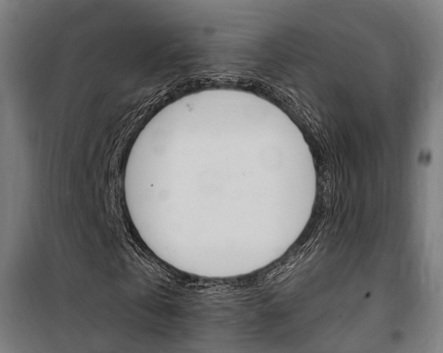 X0000100870769200806200902