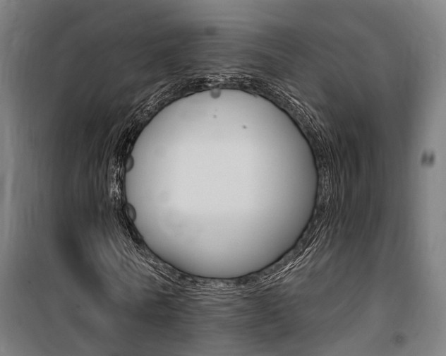 X0000100870770200806200902