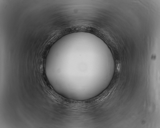 X0000100870771200806200902