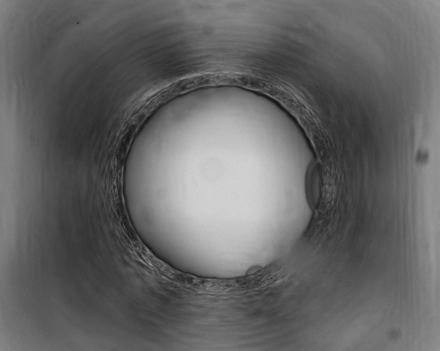 X0000100870773200806200902
