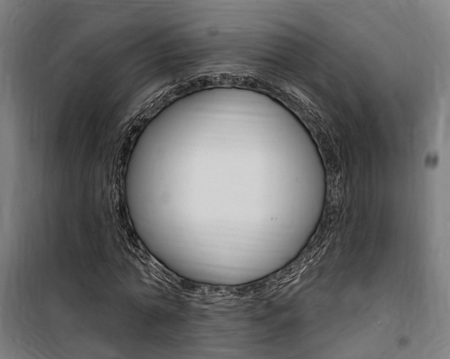 X0000100870774200806200902