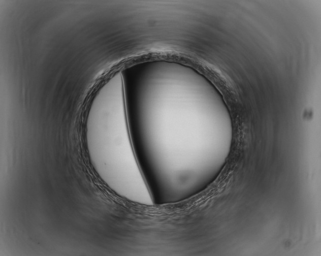 X0000100870776200806200902