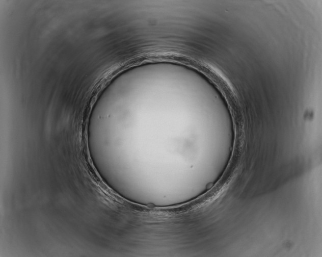 X0000100870777200806200902