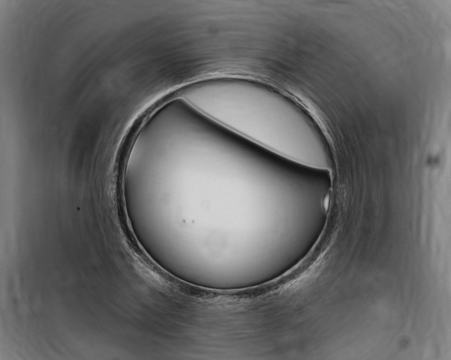 X0000100870779200806200902