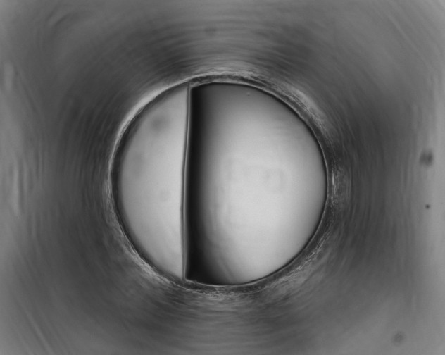 X0000100870780200806200902