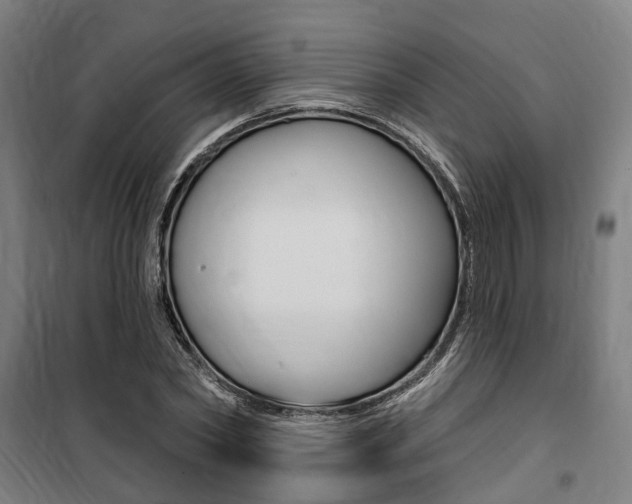 X0000100870782200806200902