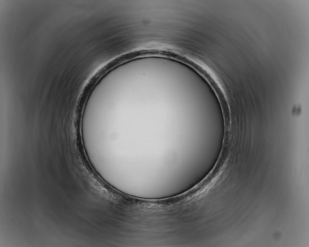 X0000100870783200806200902