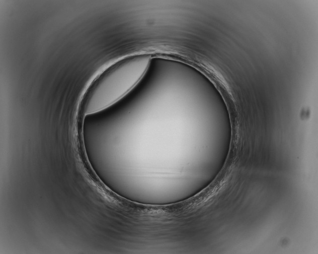 X0000100870784200806200902
