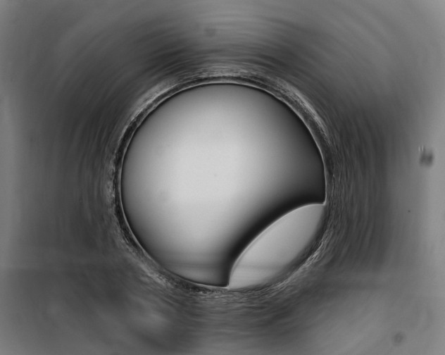 X0000100870786200806200902