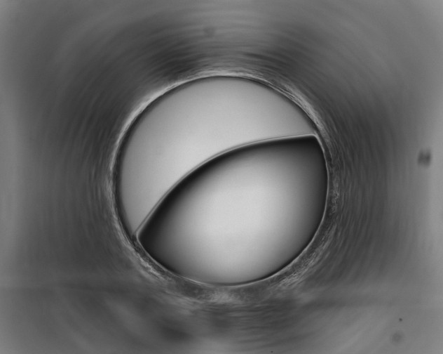 X0000100870787200806200902