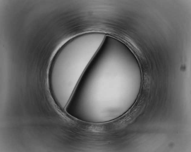 X0000100870788200806200902