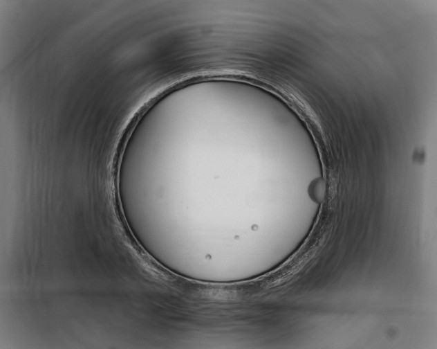 X0000100870789200806200902