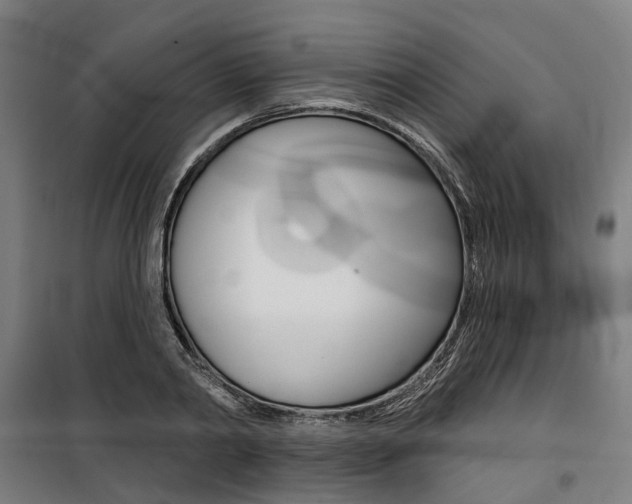 X0000100870790200806200901