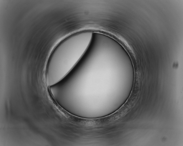 X0000100870791200806200901