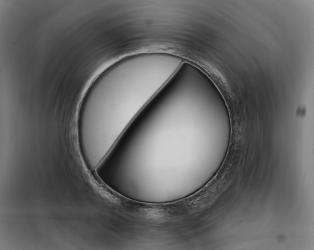 X0000100870792200806200901