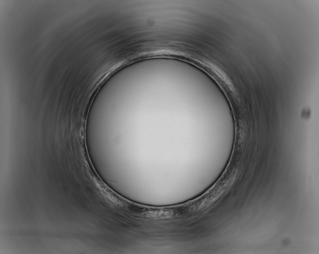 X0000100870793200806200901