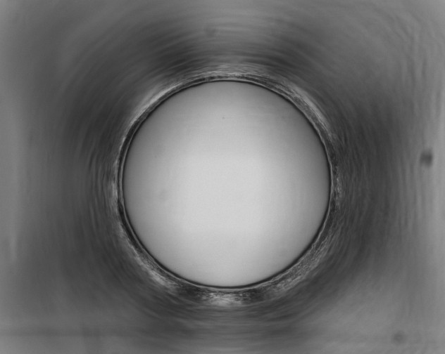 X0000100870794200806200901