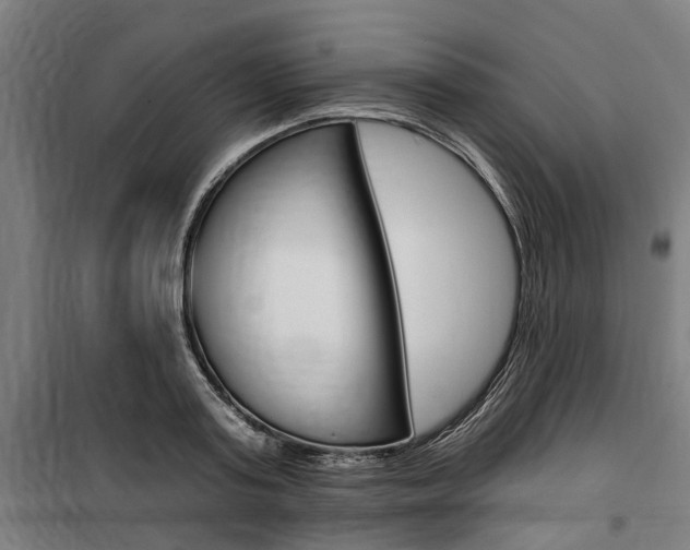 X0000100870795200806200901
