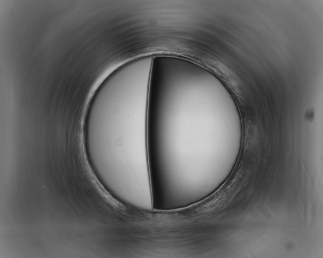 X0000100870796200806200901