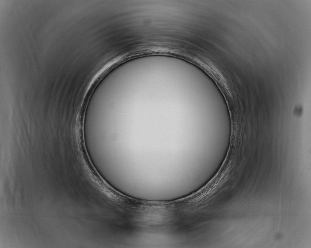 X0000100870798200806200901
