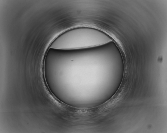 X0000100870799200806200901