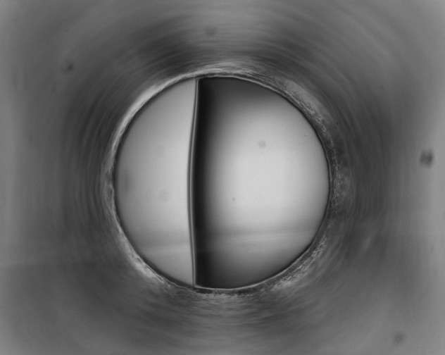X0000100870800200806200901