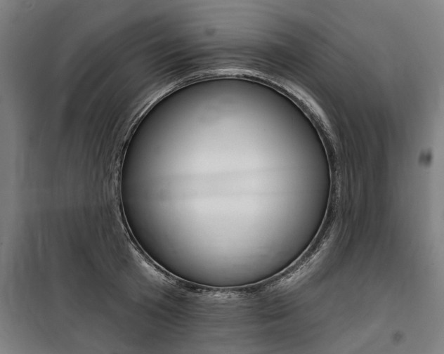 X0000100870801200806200901