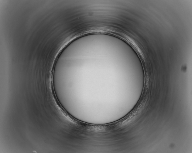 X0000100870802200806200901