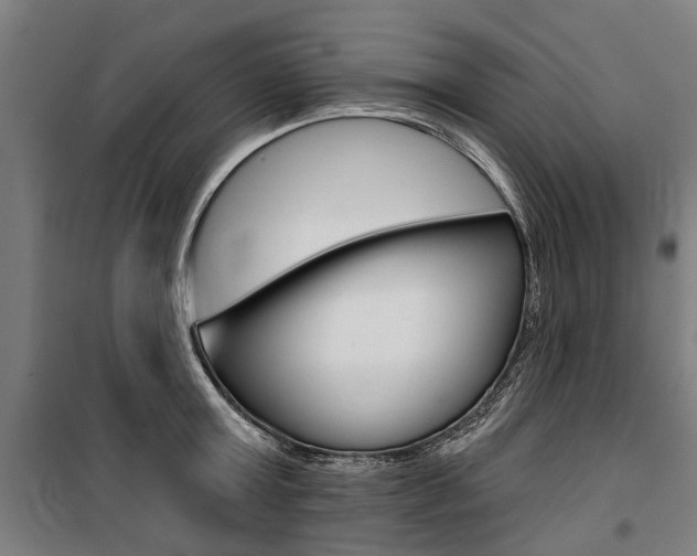 X0000100870803200806200901