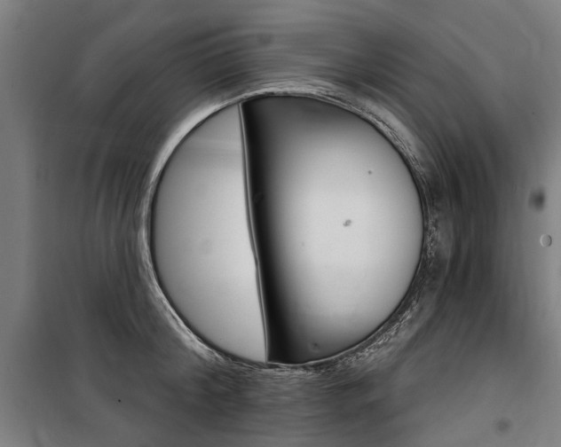 X0000100870804200806200901