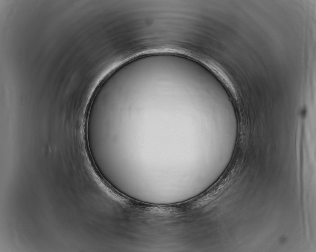 X0000100870805200806200901