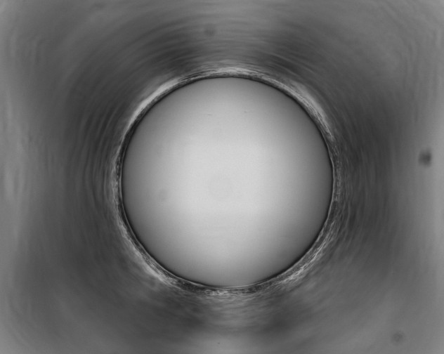 X0000100870806200806200901