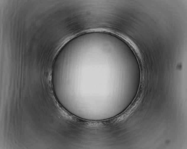 X0000100870809200806200901