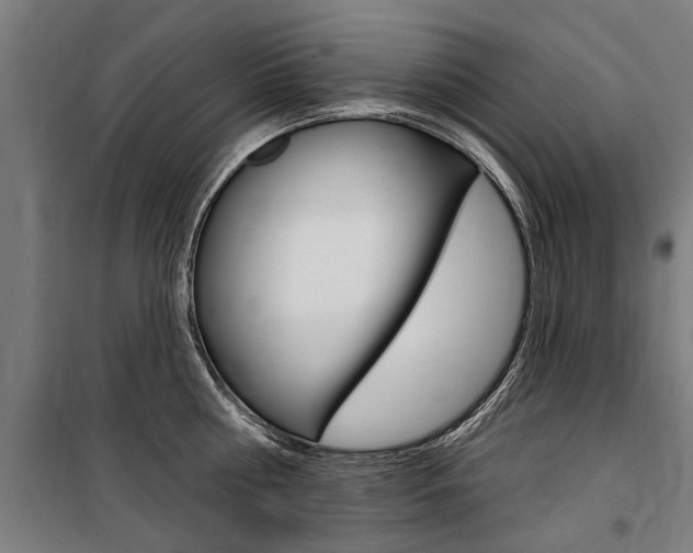 X0000100870810200806200901