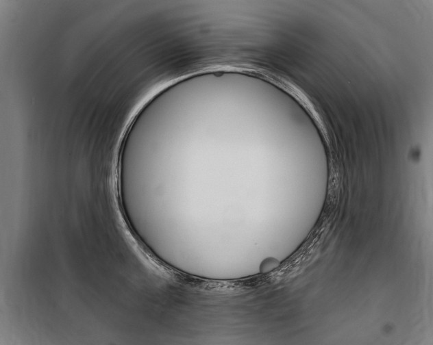X0000100870811200806200901