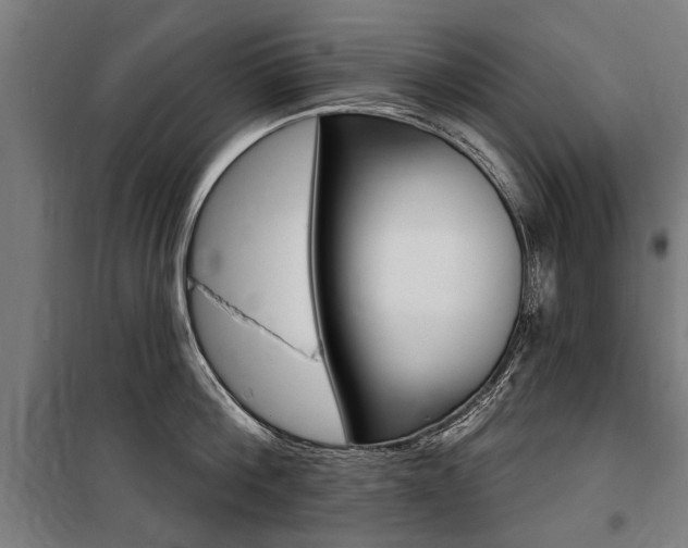X0000100870812200806200901