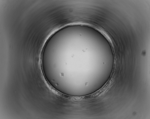 X0000100870813200806200901