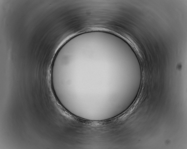 X0000100870814200806200901