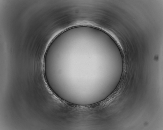 X0000100870815200806200901