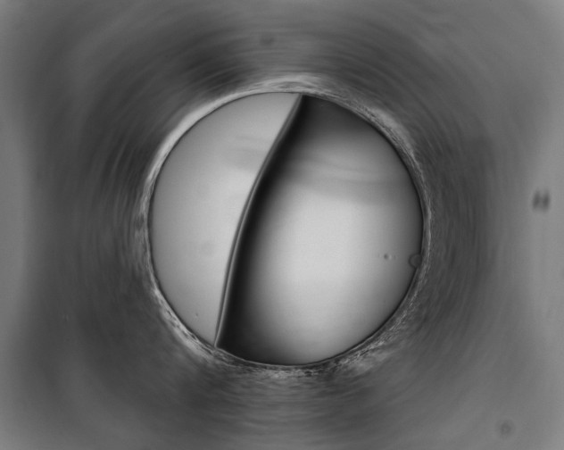 X0000100870816200806200901