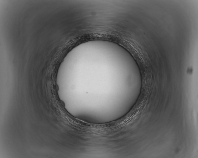 X0000100870817200806200900